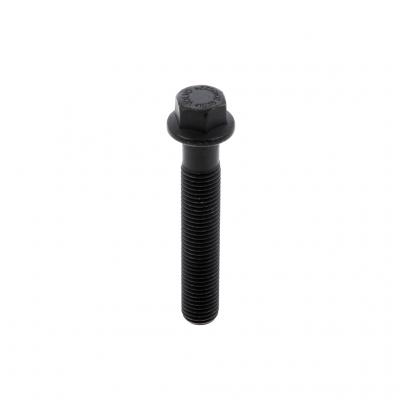 SCREW (Pack of 2)