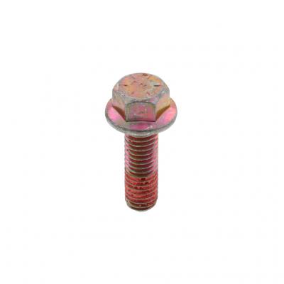 SCREW (Pack of 6)