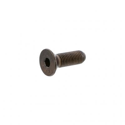 SCREW (Pack of 6)