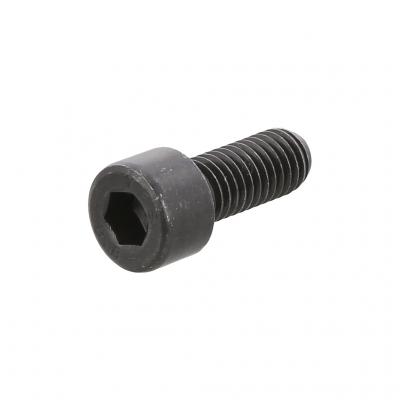 SOCKET HEAD SCREW (Pack of 4)