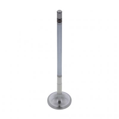 INTAKE VALVE (Pack of 2)