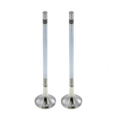 EXHAUST VALVE (Pack of 2)