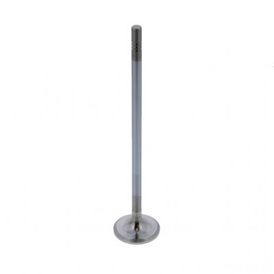 INTAKE VALVE (Pack of 2)