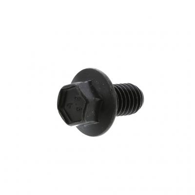 SCREW (Pack of 4)
