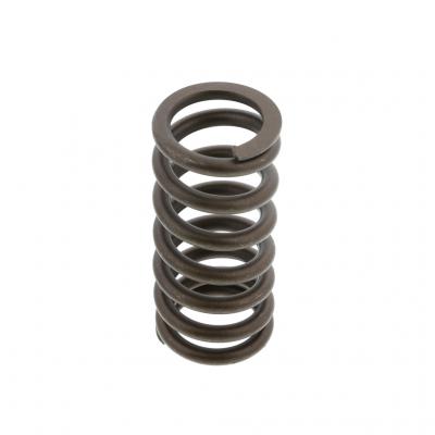 OUTER VALVE SPRING (Pack of 6)
