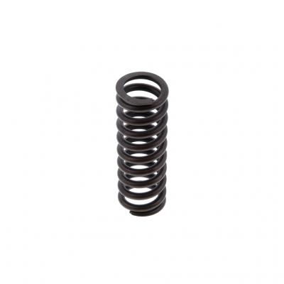 INNER VALVE SPRING (Pack of 6)