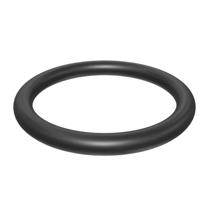 PAI O-Ring Seal, New