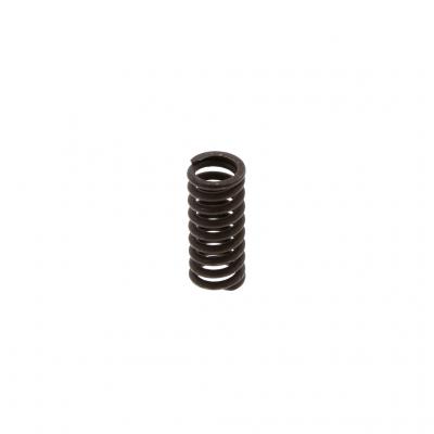 DETENT SPRING (Pack of 5)