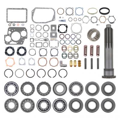 BEARING AND SEAL KIT