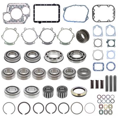 BEARING AND SEAL KIT,BASIC OVERHAUL