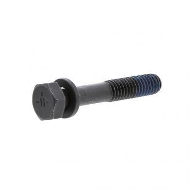 SCREW (Pack of 8)