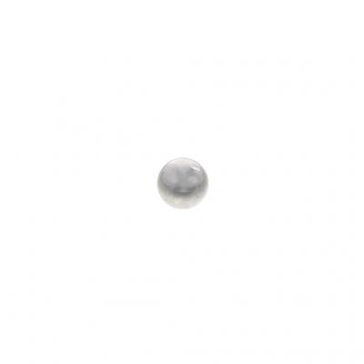 BEARING BALL (Pack of 5)