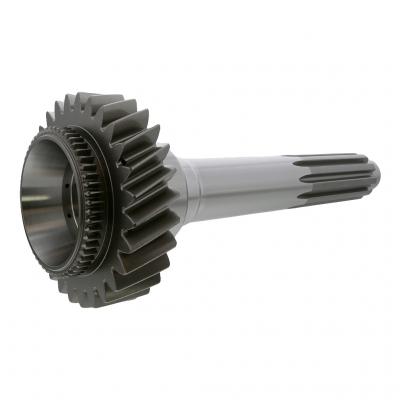 INPUT SHAFT PINION