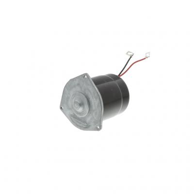DIFFERENTIAL SHIFT MOTOR