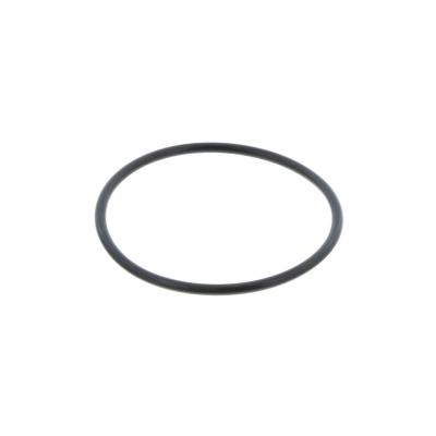 O-RING (Pack of 2)
