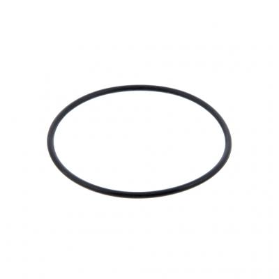 O-RING (Pack of 2)