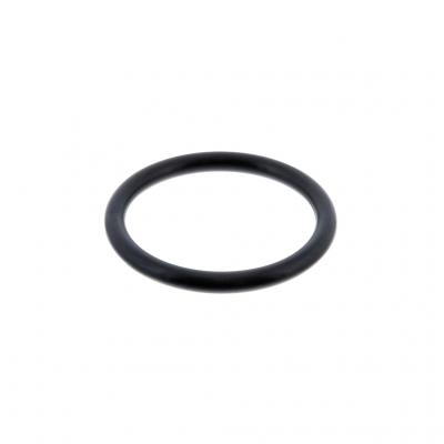 O-RING (Pack of 2)