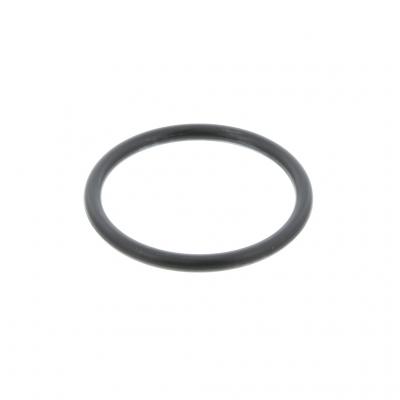 O-RING (Pack of 10)