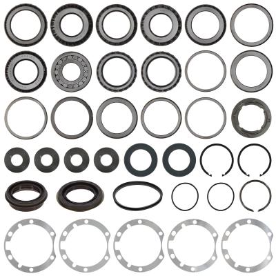 BEARING AND SEAL KIT