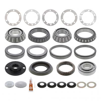 BEARING AND SEAL KIT