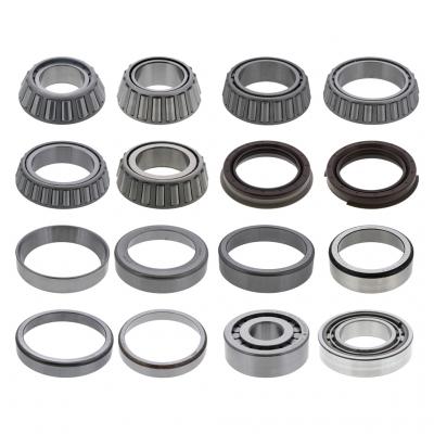 BEARING AND SEAL OVERHAUL KIT