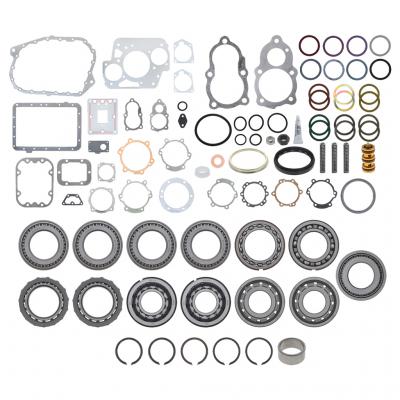 BEARING AND SEAL KIT