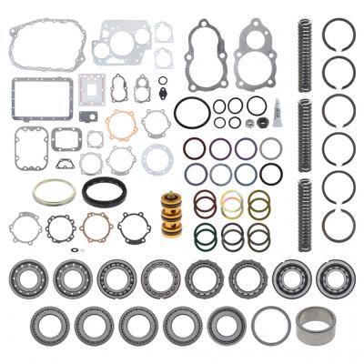 BEARING AND SEAL KIT
