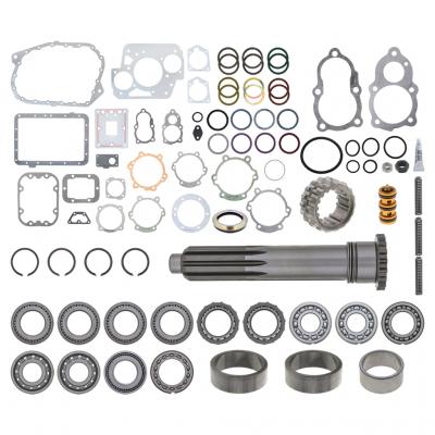 BEARING AND SEAL KIT
