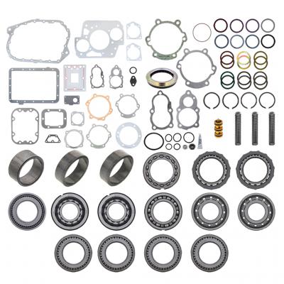 BEARING AND SEAL KIT