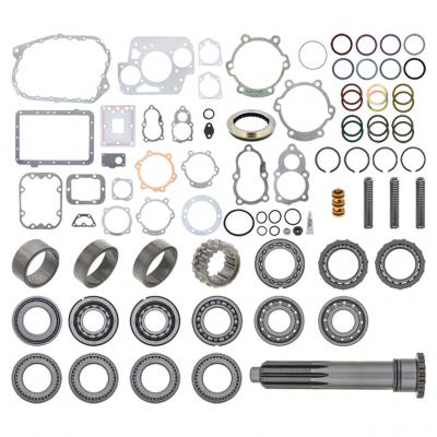 BEARING AND SEAL KIT
