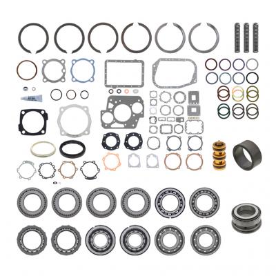 BEARING AND SEAL KIT
