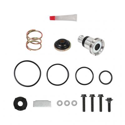 VALVE PURGE KIT