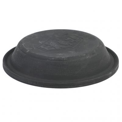 DIAPHRAGM
