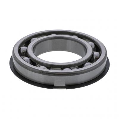 MAIN DRIVE BEARING
