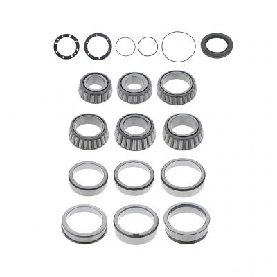 BEARING AND SEAL KIT