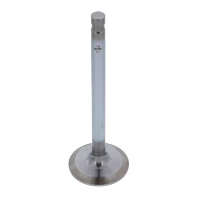 INTAKE VALVE (Pack of 2)