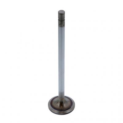INTAKE VALVE (Pack of 2)