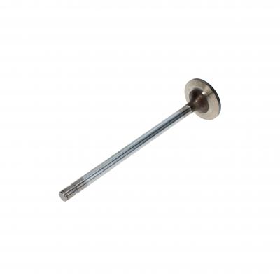 INTAKE VALVE (Pack of 2)