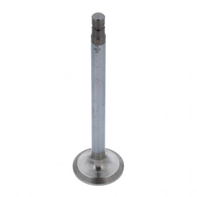 EXHAUST VALVE (Pack of 2)