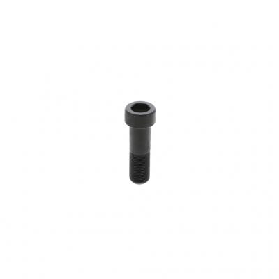 SCREW (Pack of 12)