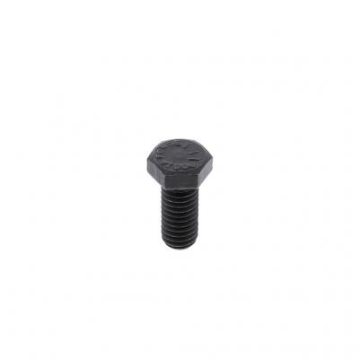SCREW (Pack of 10)