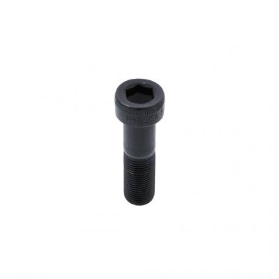 SCREW (Pack of 6)
