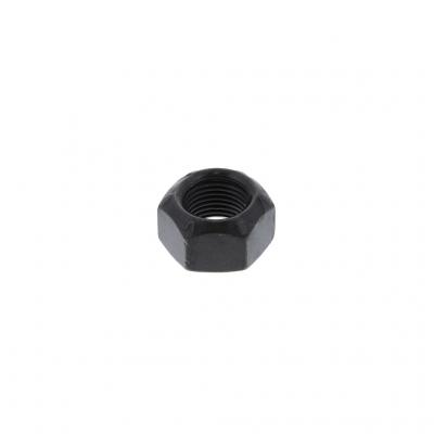 NUT (Pack of 12)