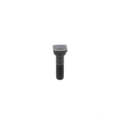 SCREW (Pack of 12)