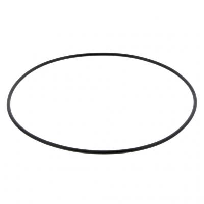O-RING (Pack of 10)