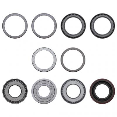 BEARING AND SEAL KIT
